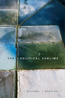 Political Sublime book