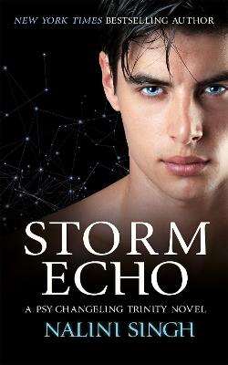 Storm Echo: Book 6 book