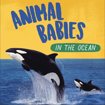 Animal Babies: In the Ocean by Sarah Ridley