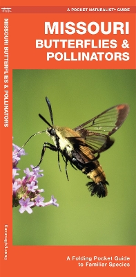 Missouri Butterflies & Pollinators: A Folding Pocket Guide to Familiar Species book