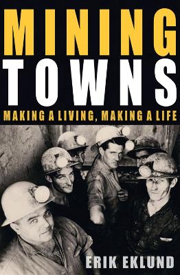 Mining Towns book