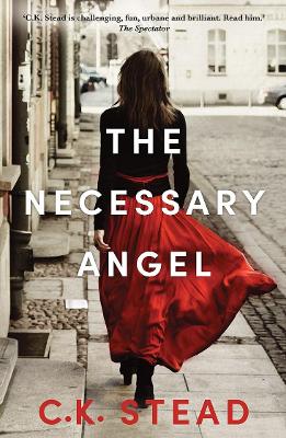 Necessary Angel book