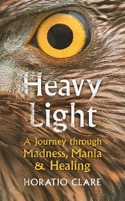 Heavy Light: A Journey Through Madness, Mania and Healing book