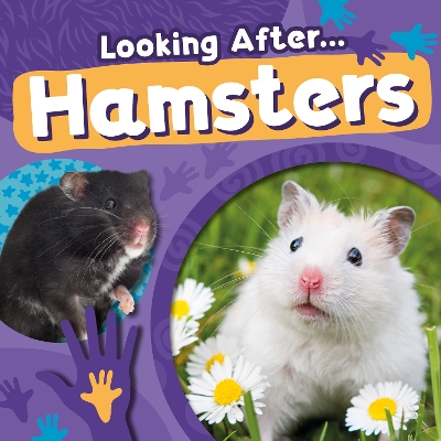 Hamsters book