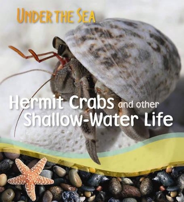 Hermit Crabs and Other Shallow-water Life book