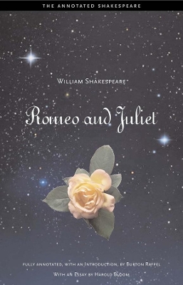 Romeo and Juliet book