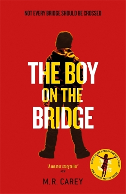 Boy on the Bridge book