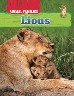 Animal Families: Lions book