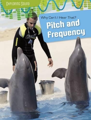 Why Can't I Hear That?: Pitch and Frequency by Louise Spilsbury