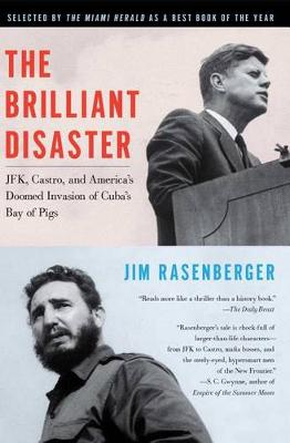 Brilliant Disaster book