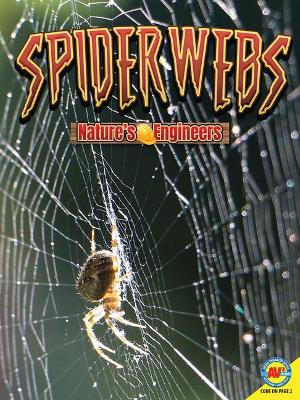 Spider Webs book
