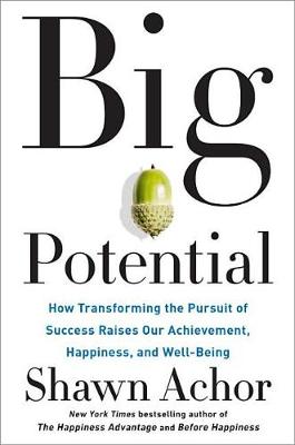 Big Potential by Shawn Achor