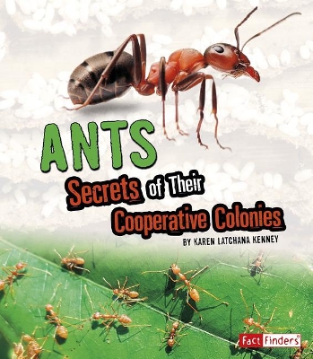 Ants: Secrets of Their Cooperative Colonies: Secrets of Their Cooperative Colonies book
