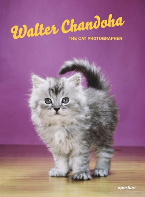 Walter Chandoha: The Cat Photographer book