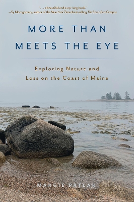 More Than Meets the Eye: Exploring Nature and Loss on the Coast of Maine book