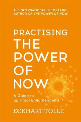 Practising The Power Of Now book