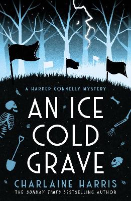 An Ice Cold Grave book