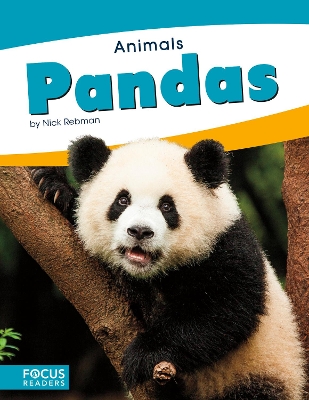 Pandas by Nick Rebman