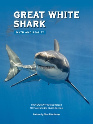 Great White Shark by Alexandrine Civard-Racinais