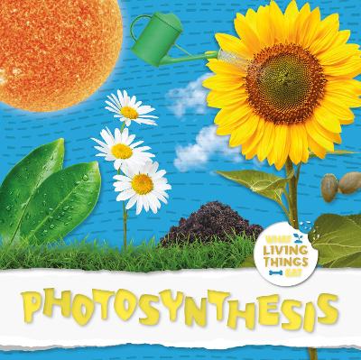 Photosynthesis by Harriet Brundle