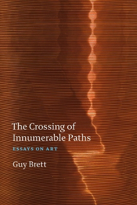 The Crossing of Innumerable Paths: Essays on Art book