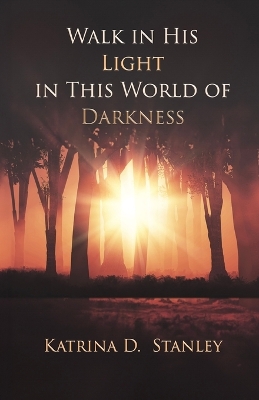 Walk in His Light in This World of Darkness book