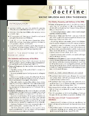 Bible Doctrine Laminated Sheet book