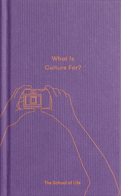 What Is Culture For? book