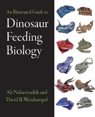 An Illustrated Guide to Dinosaur Feeding Biology book