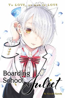 Boarding School Juliet 3 book