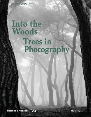 Into the Woods: Trees in Photography book