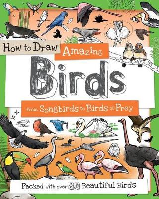 How to Draw Amazing Birds book