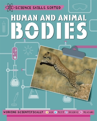 Science Skills Sorted!: Human and Animal Bodies book
