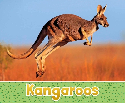 Kangaroos by Sara Louise Kras