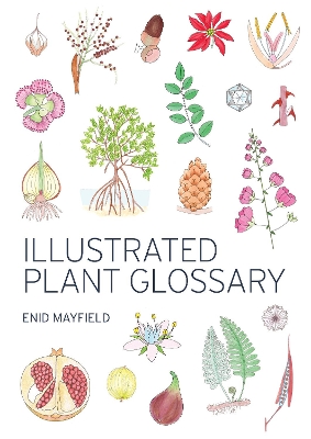 Illustrated Plant Glossary book