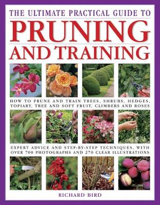 Ultimate Practical Guide to Pruning and Training book
