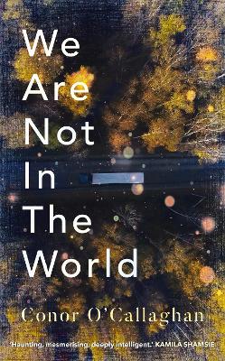 We Are Not in the World: ‘compelling and profoundly moving’ Irish Times by Conor O'Callaghan