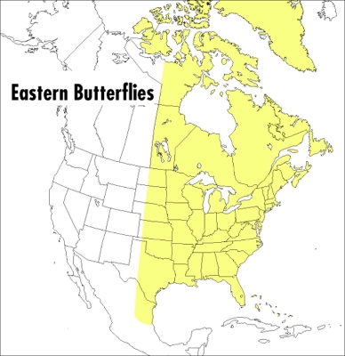 Peterson Field Guide To Eastern Butterflies, A book