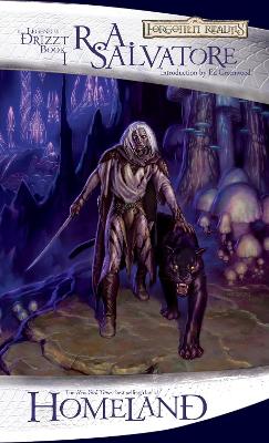 Drizzt 001 book