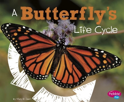 Butterfly's Life Cycle by Mary R. Dunn