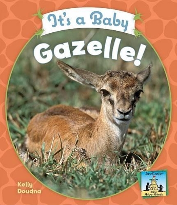 It's a Baby Gazelle! book