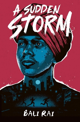 A Sudden Storm book