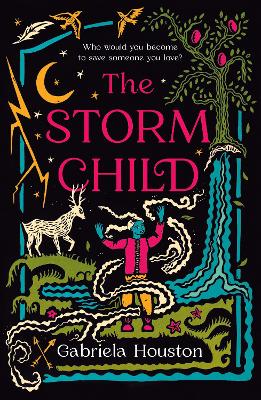 The Storm Child book