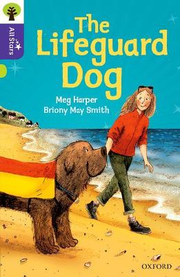 Oxford Reading Tree All Stars: Oxford Level 11: The Lifeguard Dog book