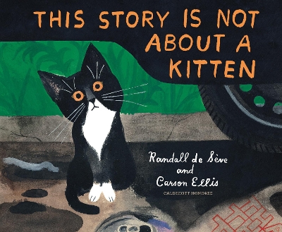 This Story Is Not About a Kitten book