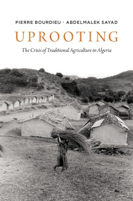 Uprooting: The Crisis of Traditional Algriculture in Algeria by Pierre Bourdieu