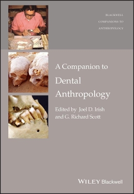 A A Companion to Dental Anthropology by Joel D. Irish