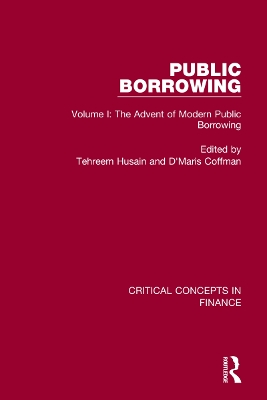 Public Borrowing book