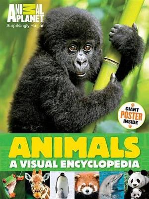 Animals: A Visual Encyclopedia book