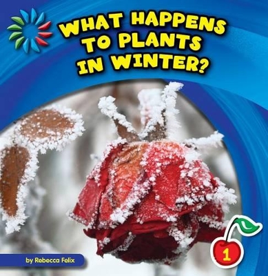 What Happens to Plants in Winter? book